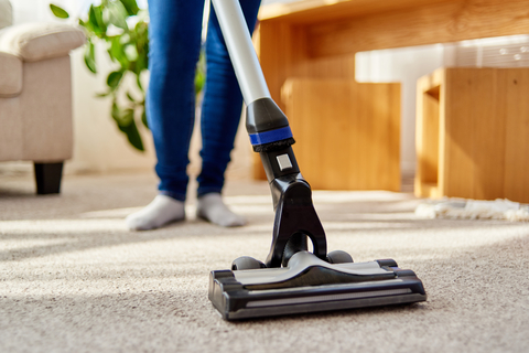 mold on carpet