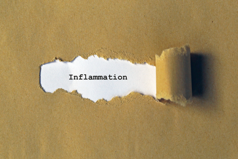 Chronic Inflammatory Response Syndrome CIRS